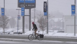 美国突遭暴风雪袭击！物流延迟，运价上涨